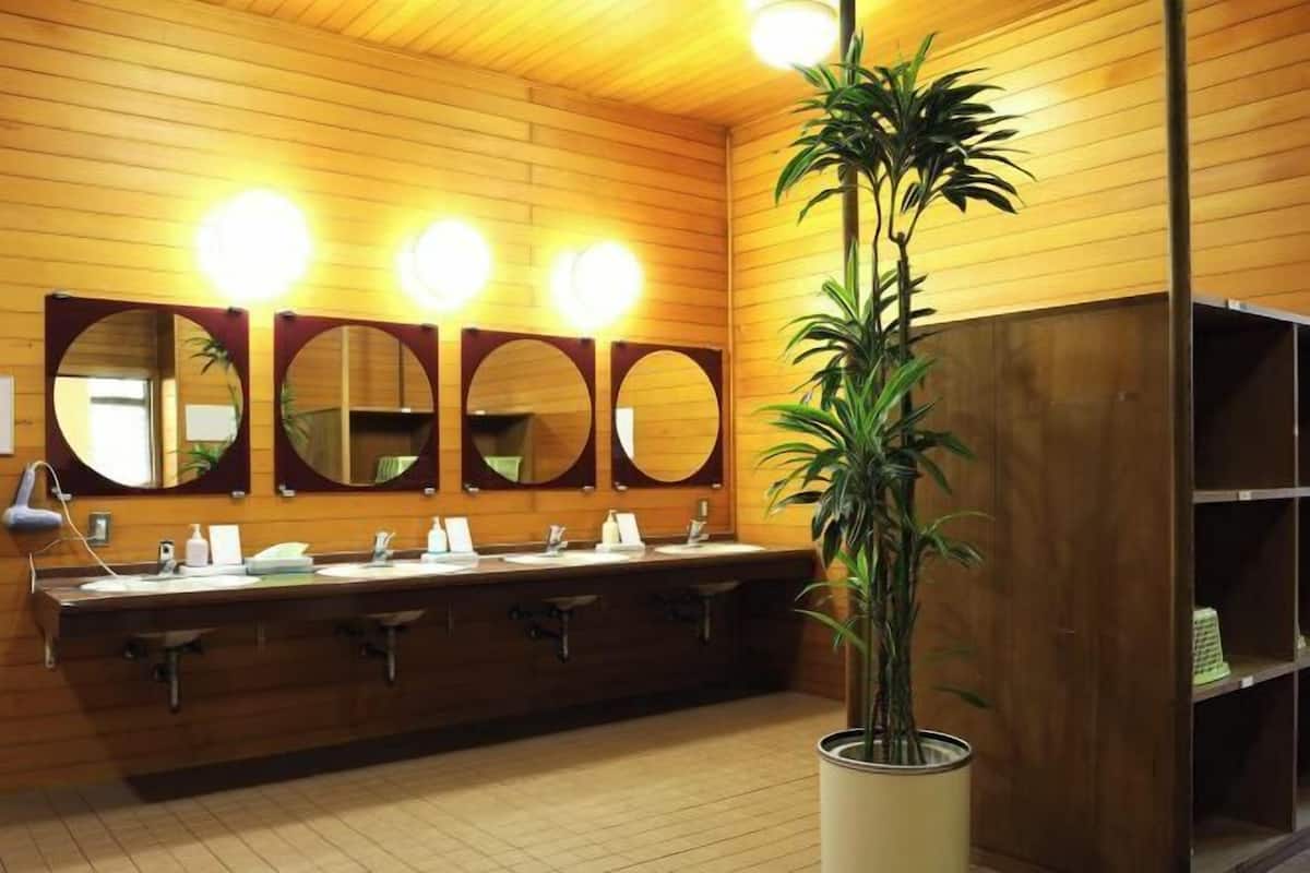 Combined shower/tub, free toiletries, hair dryer, slippers