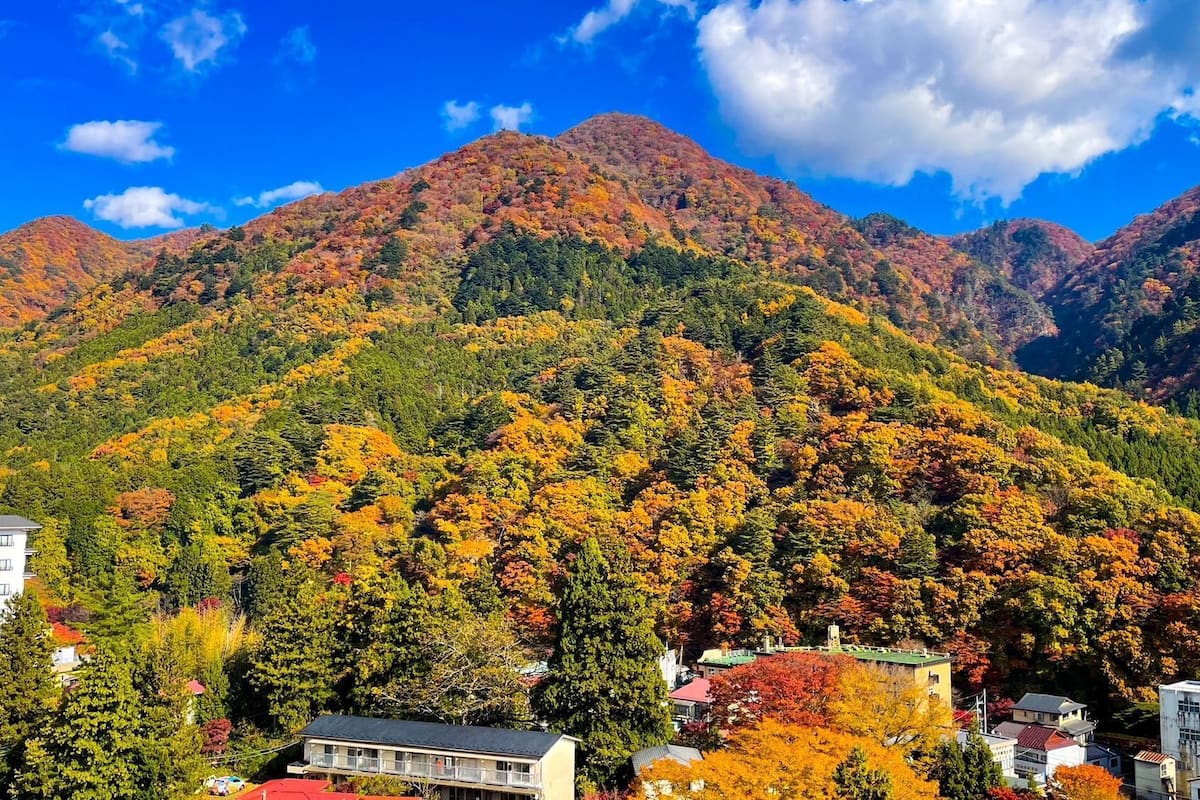Un paysage de montagne aux couleurs automnales, avec une petite ville et des immeubles d’habitation.