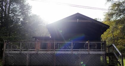 Charming Creekside 1940s Cottage, Kid/Dog Friendly