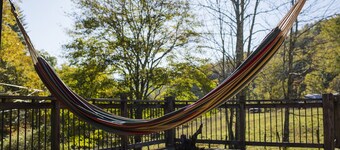 Charming Creekside 1940s Cottage, Kid/Dog Friendly