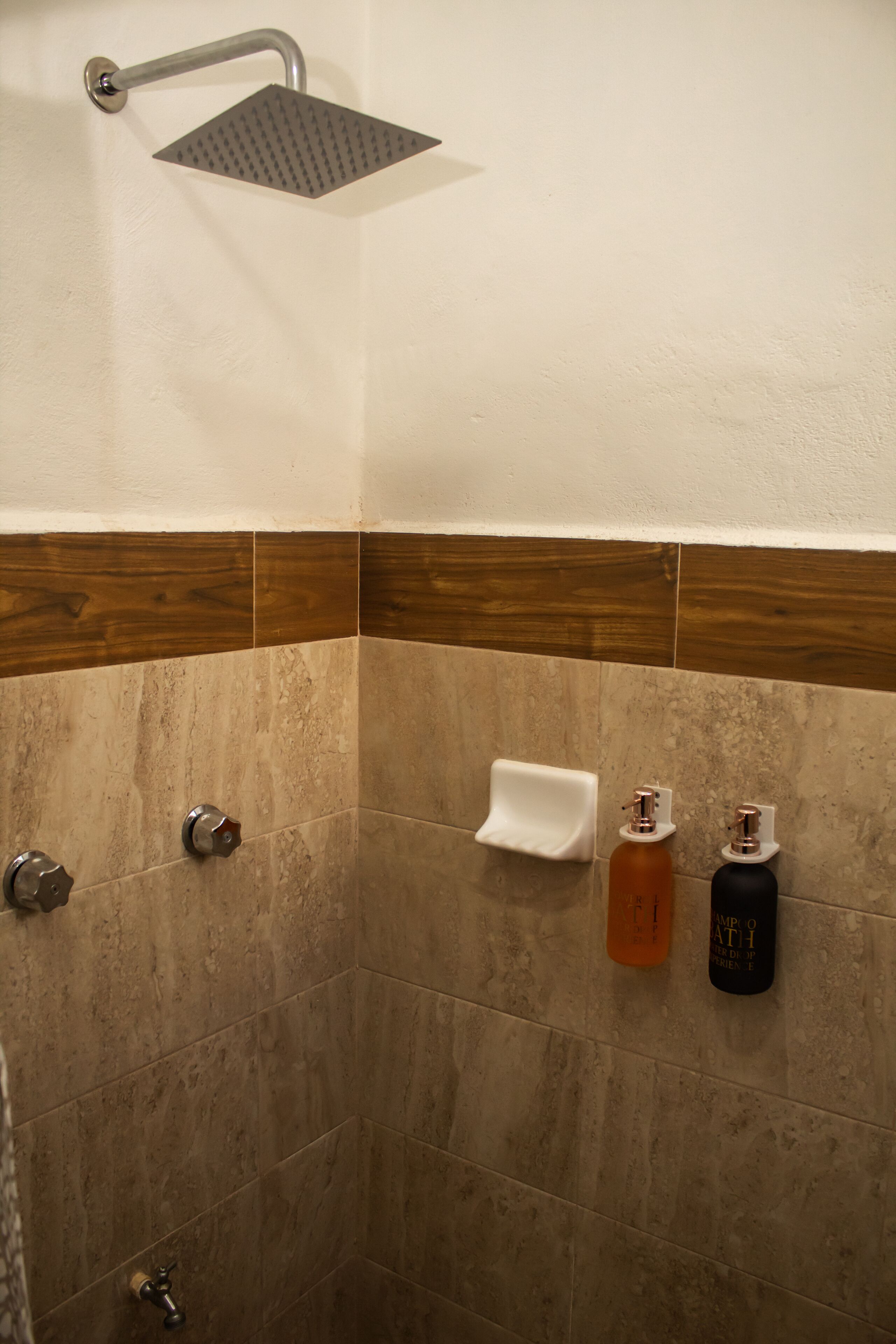 Shower, towels, soap, toilet paper