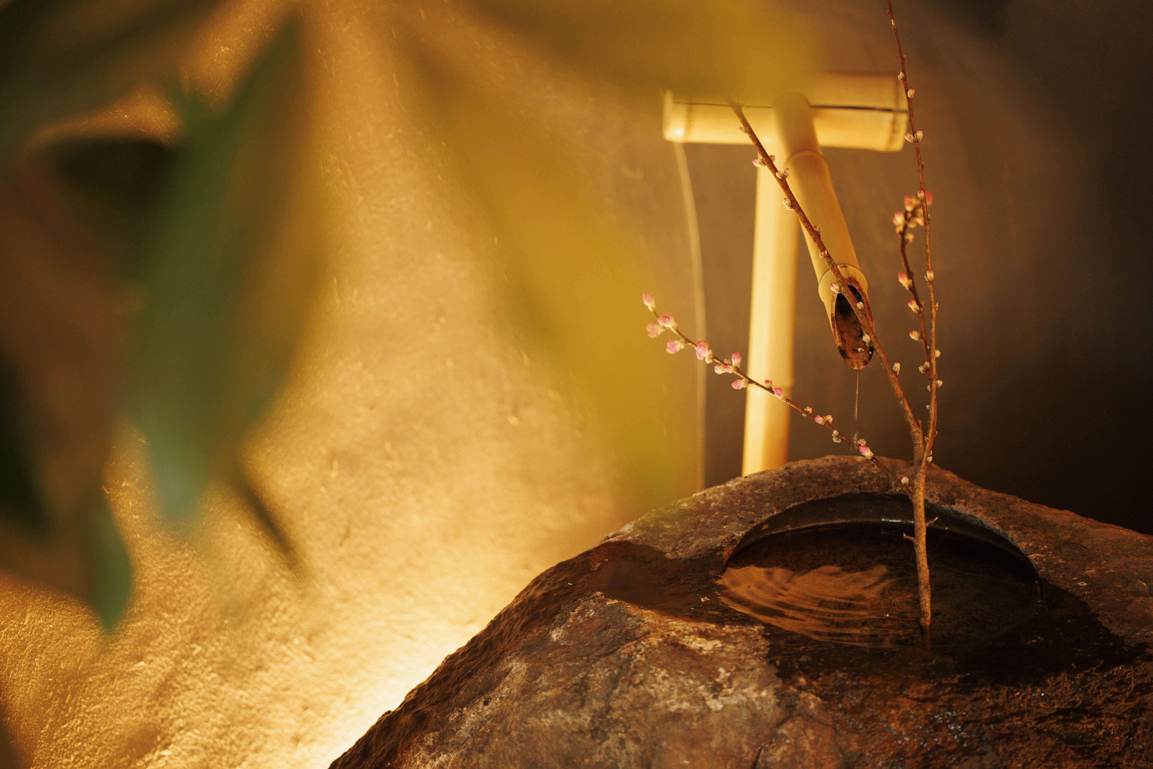 A rock basin with a branch of flowers and a wooden structure in the background.