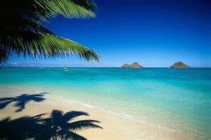 Plage à proximité