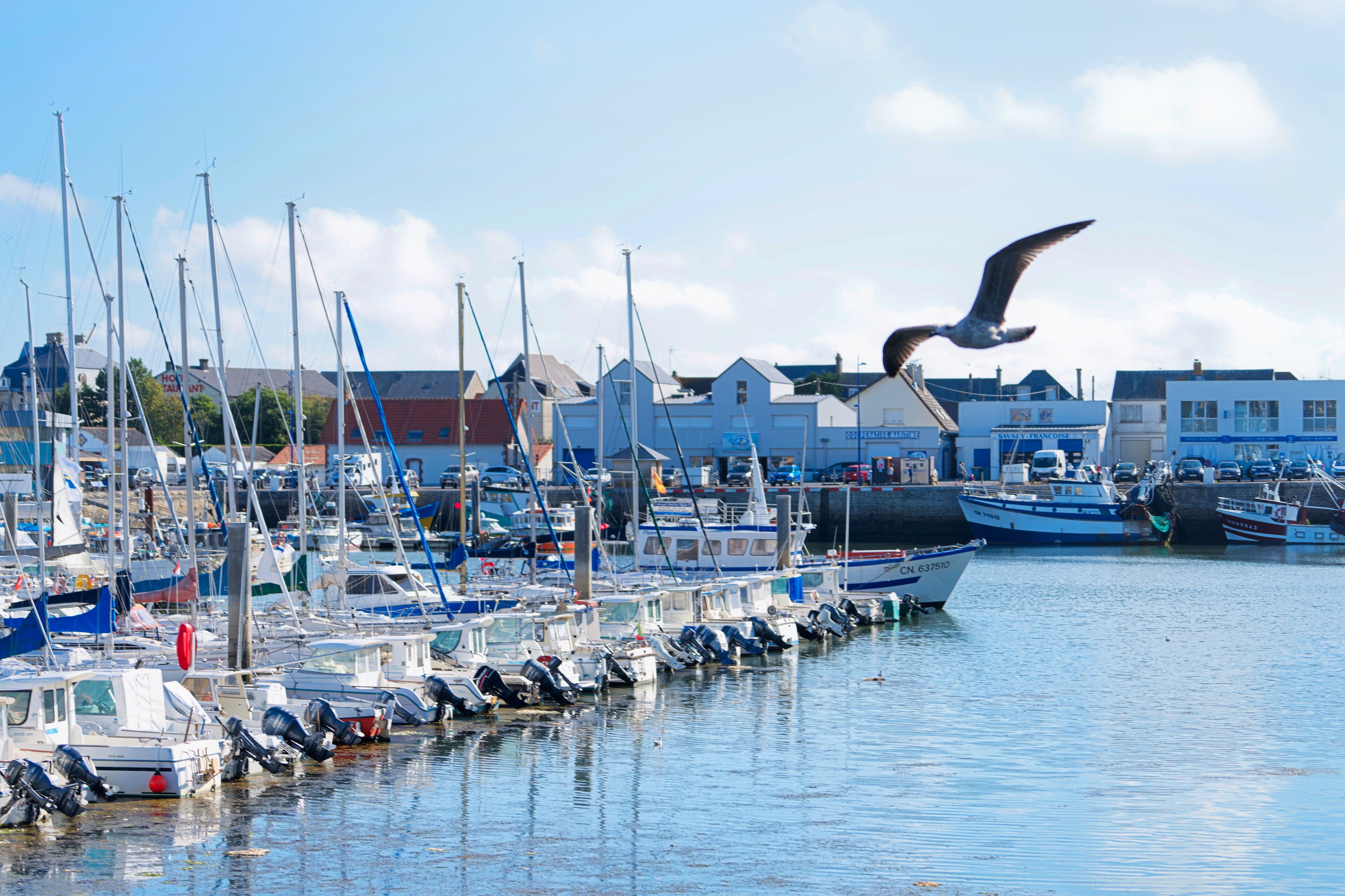 Port de plaisance