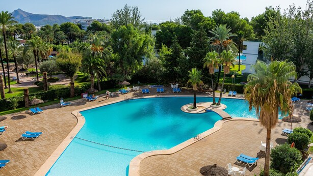 A swimming pool with lounge chairs and palm trees. - Holiday Apartment "Alcudia Sea" with Large Balcony, Pool View & Wi-Fi (Home Office) (Alcudia)