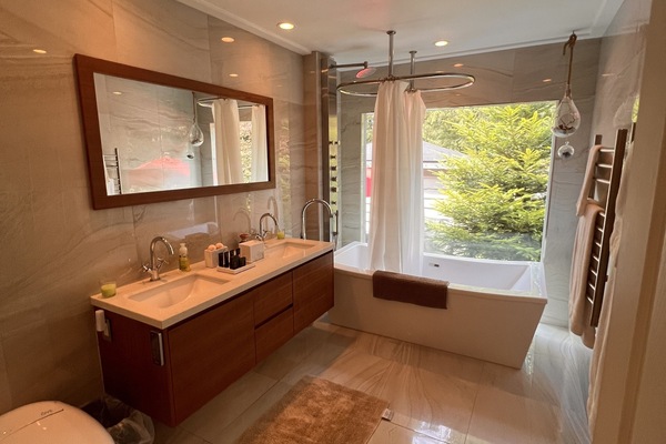 Bathtub, hair dryer, bidet, towels