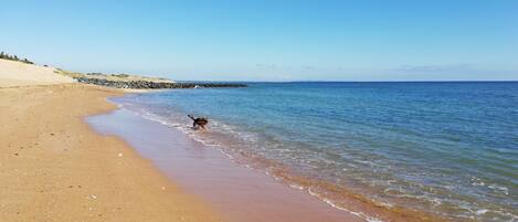 Una spiaggia nelle vicinanze