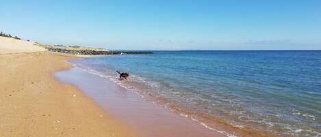 Plage à proximité