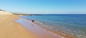 Fully renovated 100m2 fisherman's cottage 200m from the port of La Cotinière
