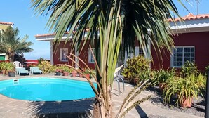 Ein Swimmingpool, umgeben von Topfpflanzen und Palmen, mit einem roten Gebäude im Hintergrund.