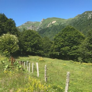 المنطقة المحيطة بالمنشأة