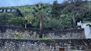 Eine Steinmauer mit einer Palme und einem kleinen Boot im Vordergrund.