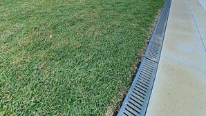 Un patio trasero bien cuidado con césped, una palmera y una casa con techo de tejas.
