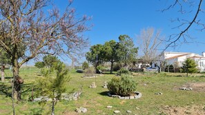 Áreas de la propiedad