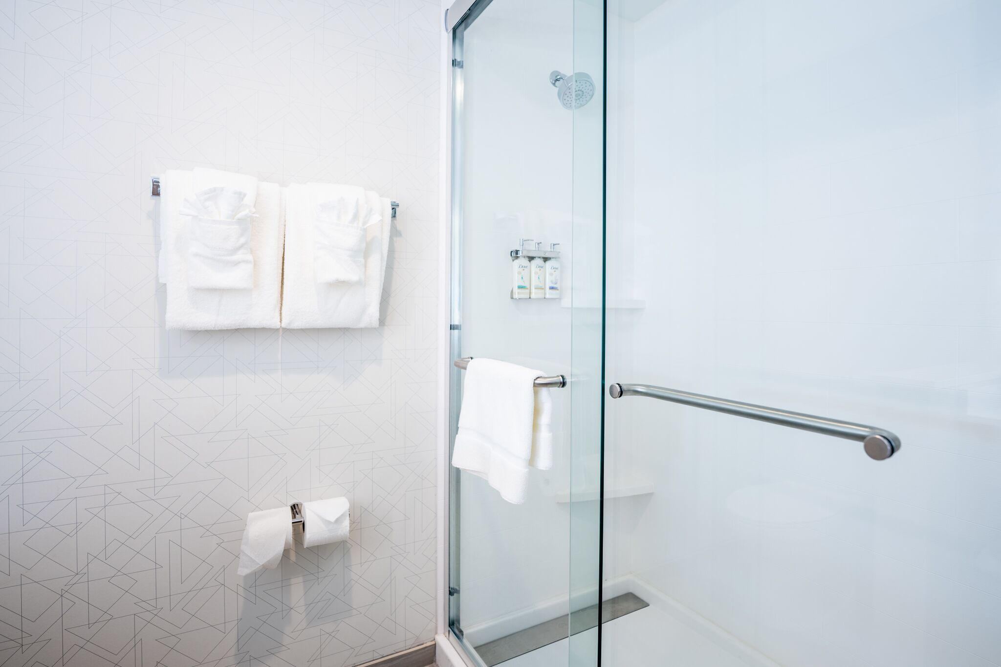 Une salle de bain moderne avec une douche à parois de verre, un porte-serviettes avec deux serviettes et un porte-rouleau de papier toilette.