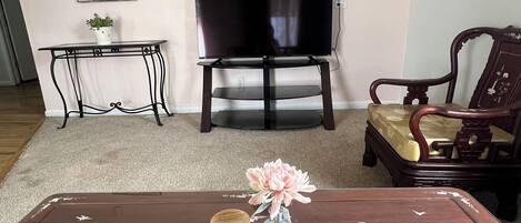 Smart-tv, dvd-spelare och ett filmbibliotek