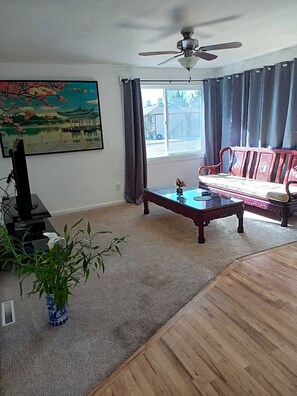 Smart TV, DVD player, video library