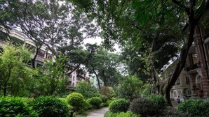 A pathway surrounded by lush greenery and trees, leading to a building with a classical architectural style. - City Comfort Inn (Guangzhou)
