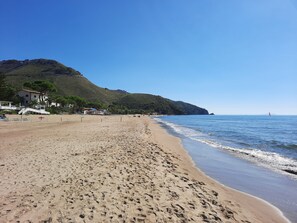 Playa en los alrededores y camastros 