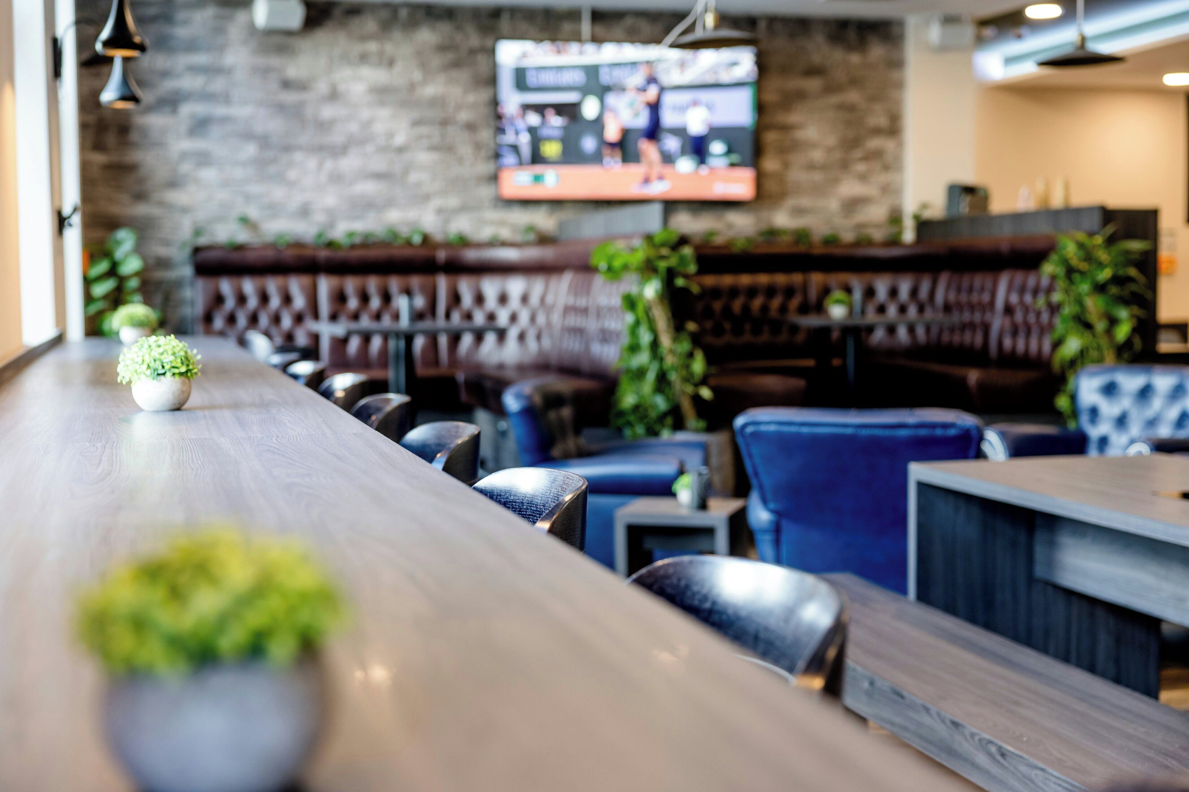 Zona de bar con asientos, un televisor montado en la pared y plantas en macetas.