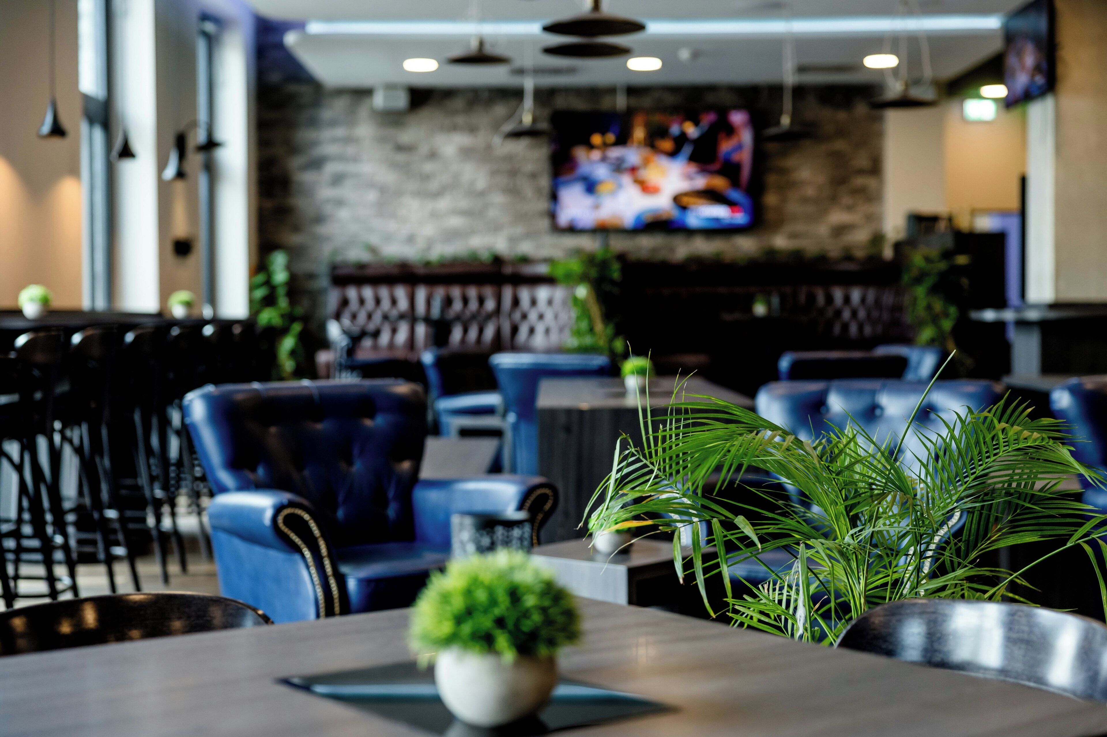Interior de restaurante com cadeiras azuis, televisão na parede e plantas em vasos.
