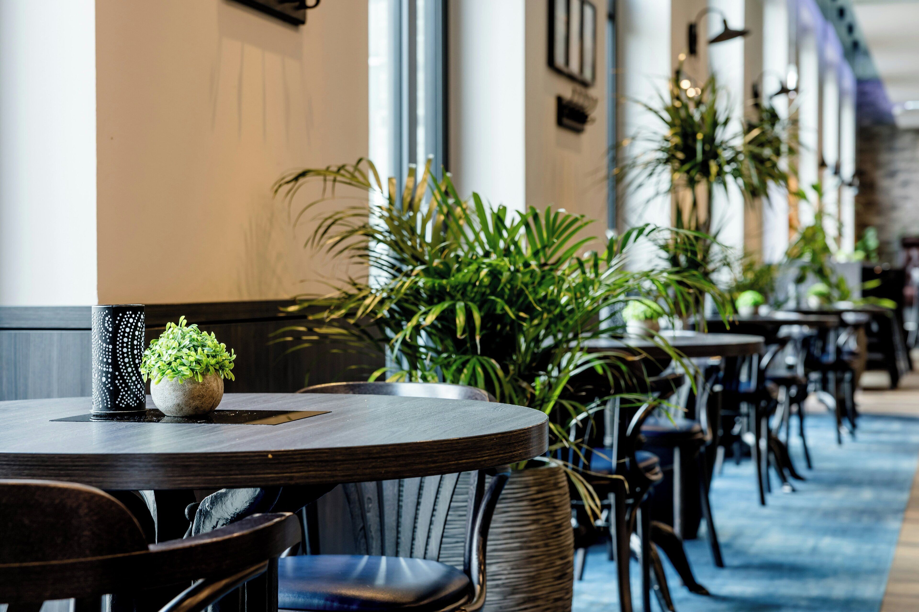 A row of tables and chairs in a hotel corridor with potted plants.