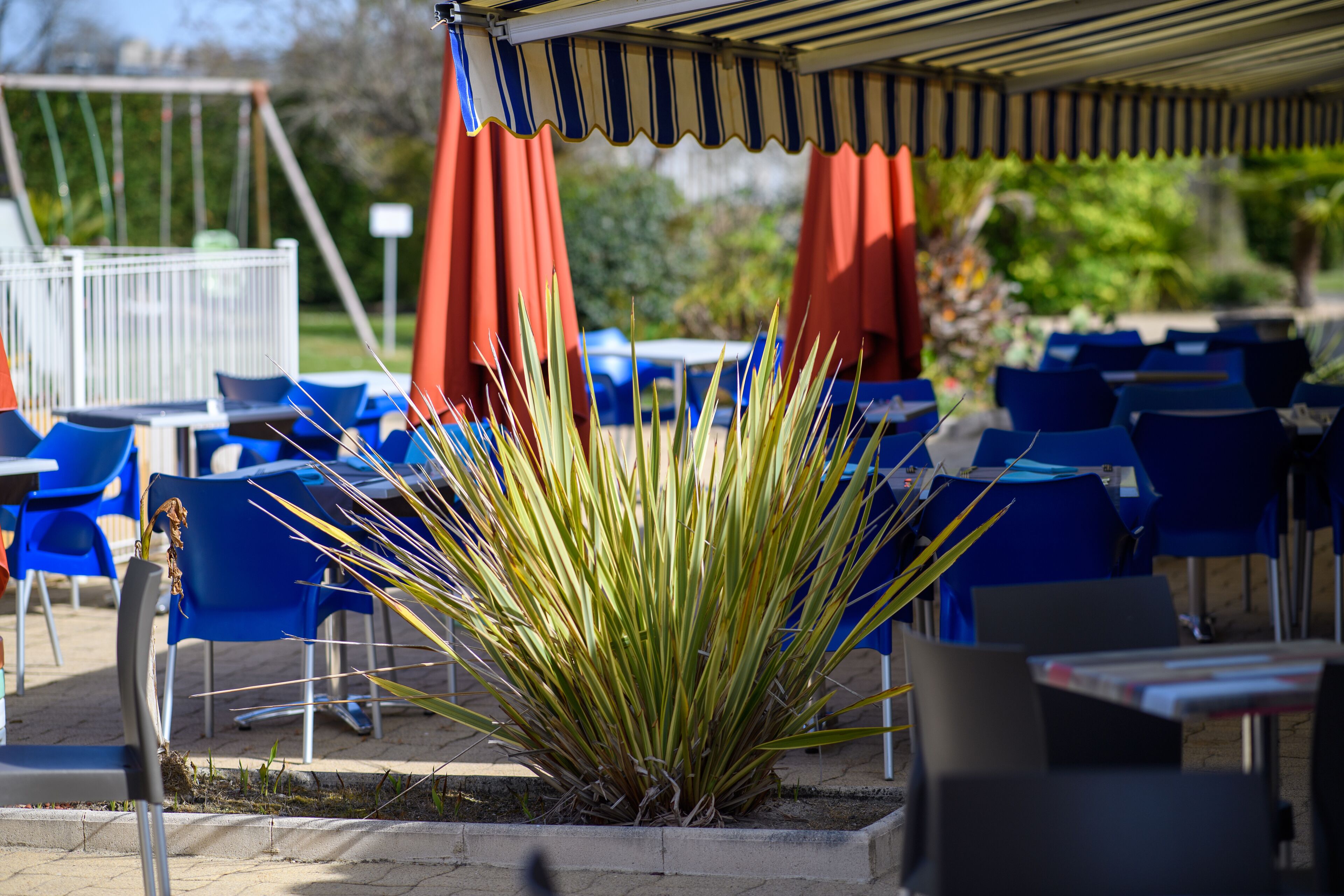 An outdoor seating area with blue chairs and red umbrellas, surrounded by a garden with a large agave plant.
