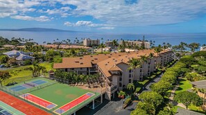 Sport court - Beachfront 1BR ocean view condo with pool and hot tub summer deals (Kihei)