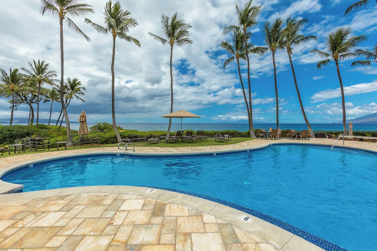 A swimming pool with palm trees and a view of the ocean.