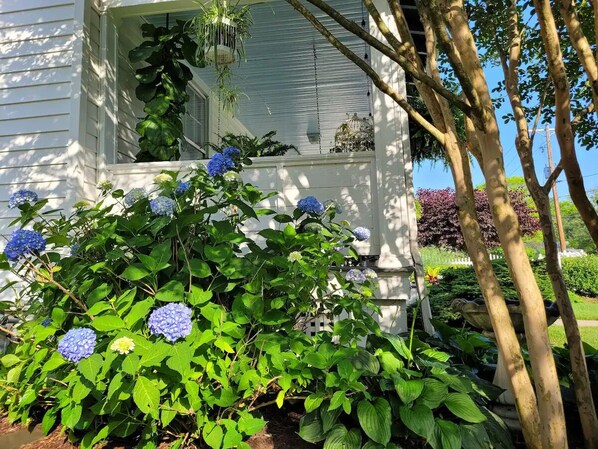 Details aan de buitenkant