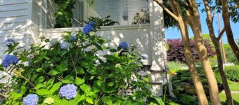 The Loriann , A Boutique Stay in a 1940's Home. New Sleep Number Bed!