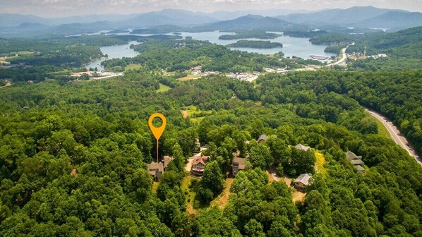 Vista aérea de una zona residencial con casas rodeadas de bosque denso, un lago y una carretera.