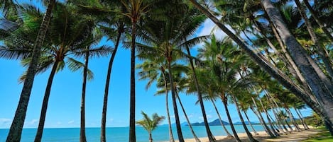 Una playa cerca, toallas de playa