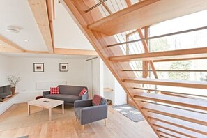 Smart TV, fireplace, books, music library