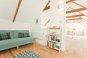 Smart TV, fireplace, books, music library