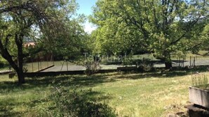 Un espace extérieur verdoyant, avec des arbres et une structure en béton.