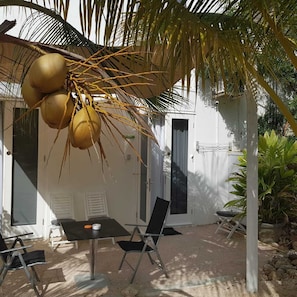 An outdoor seating area with a table and chairs, a palm tree, and a white building with a door and windows.