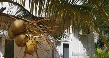 Nice basic A2 appartment at Jan Thiel Curacao