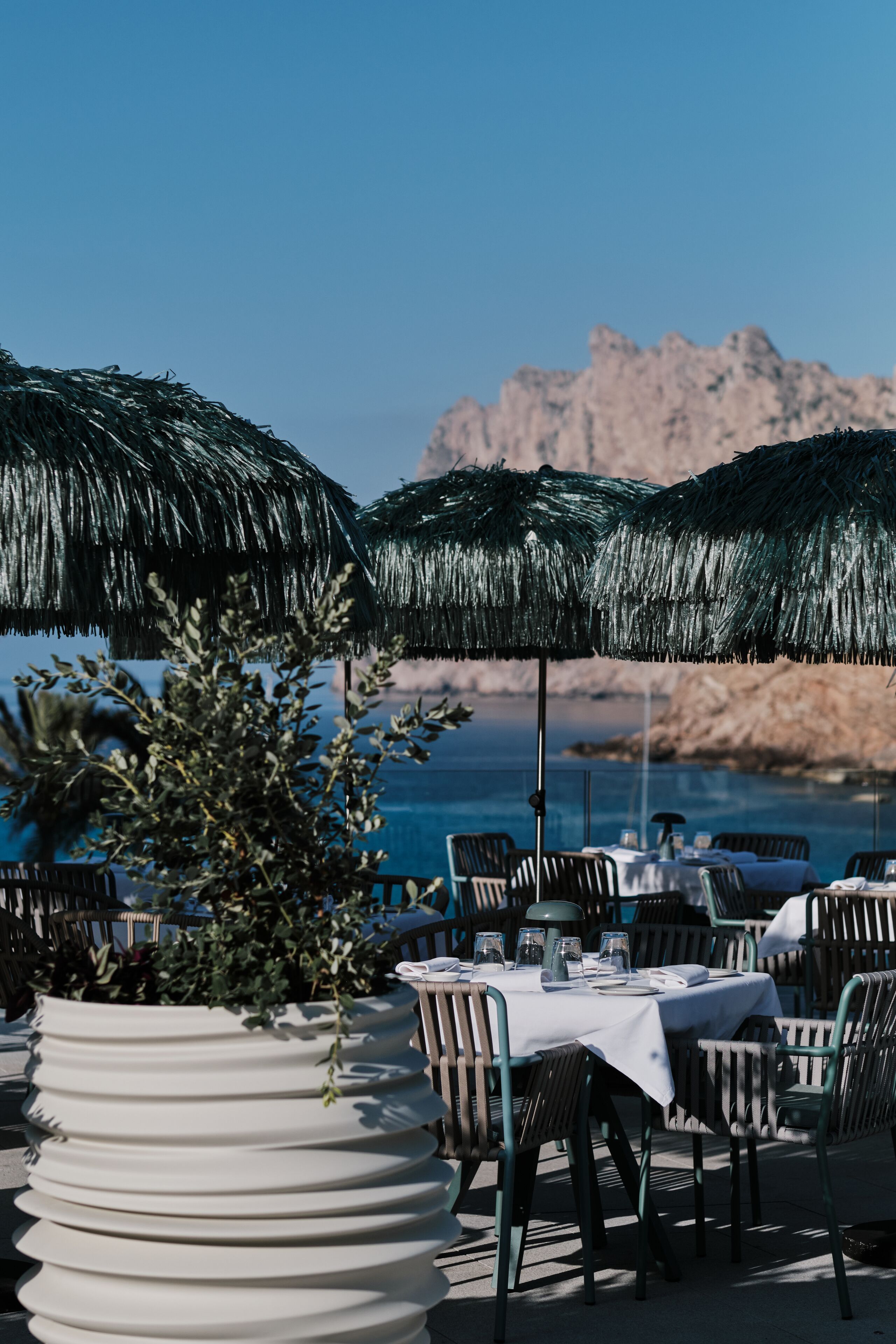 An outdoor dining area with tables and chairs, a large potted plant, and a view of the sea and mountains.