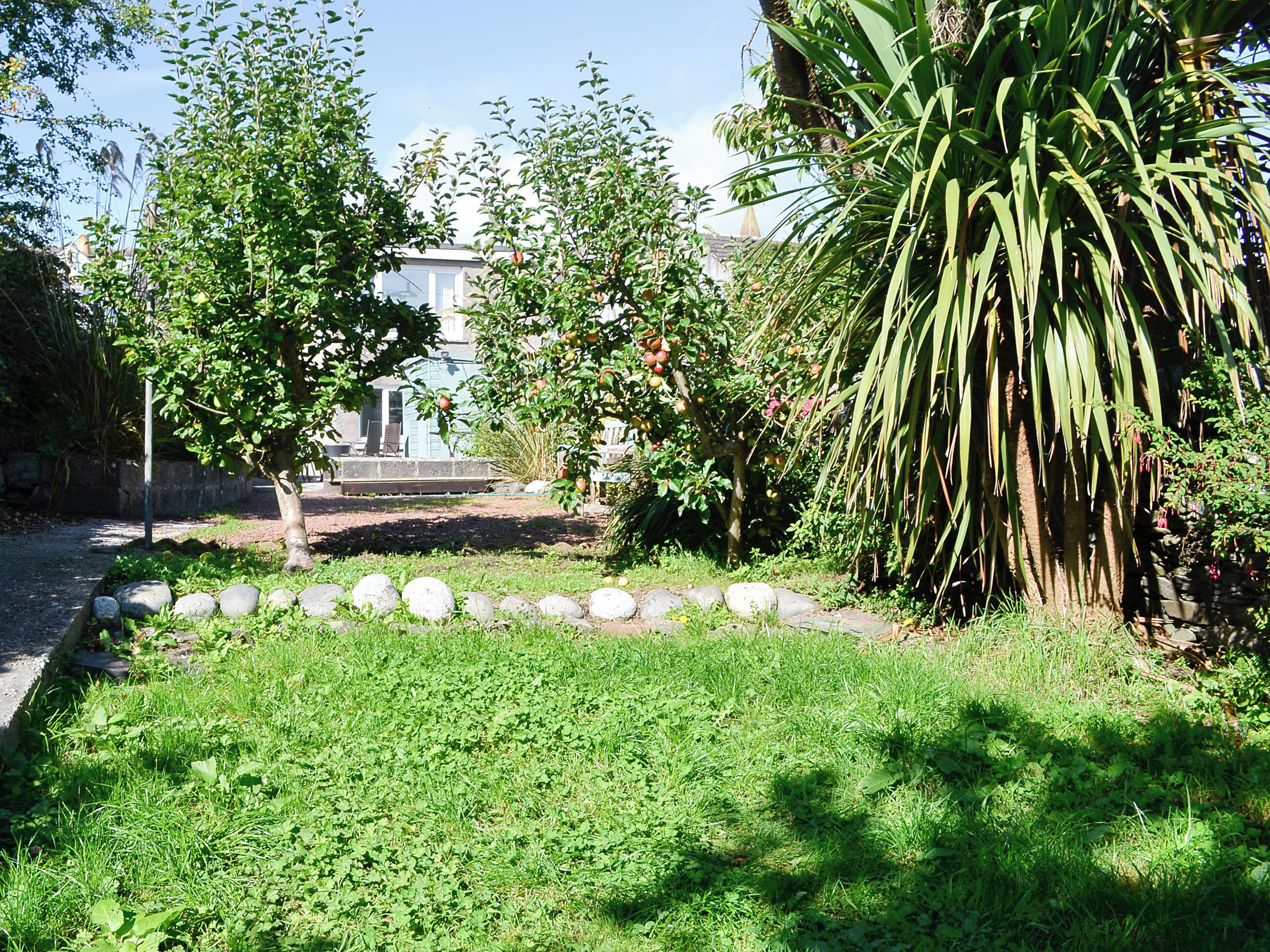 A garden with a stone pathway, a palm tree, and a building in the background.