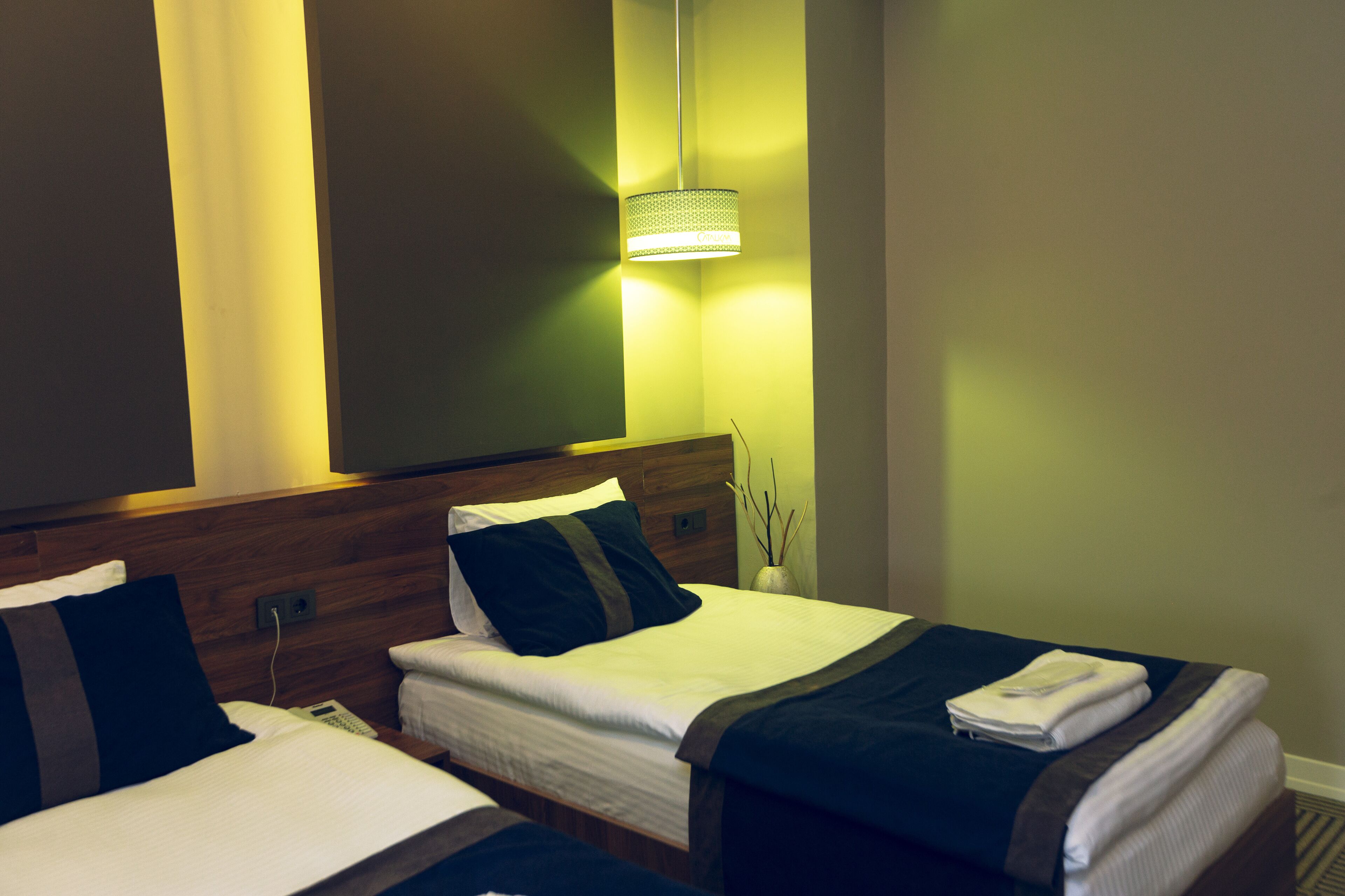 Two single beds with wooden headboards, a bedside table, a lamp, and a vase with branches.