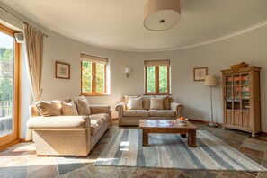Téléviseur, foyer