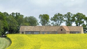 A large building with a long, low roof, surrounded by a field of yellow flowers.