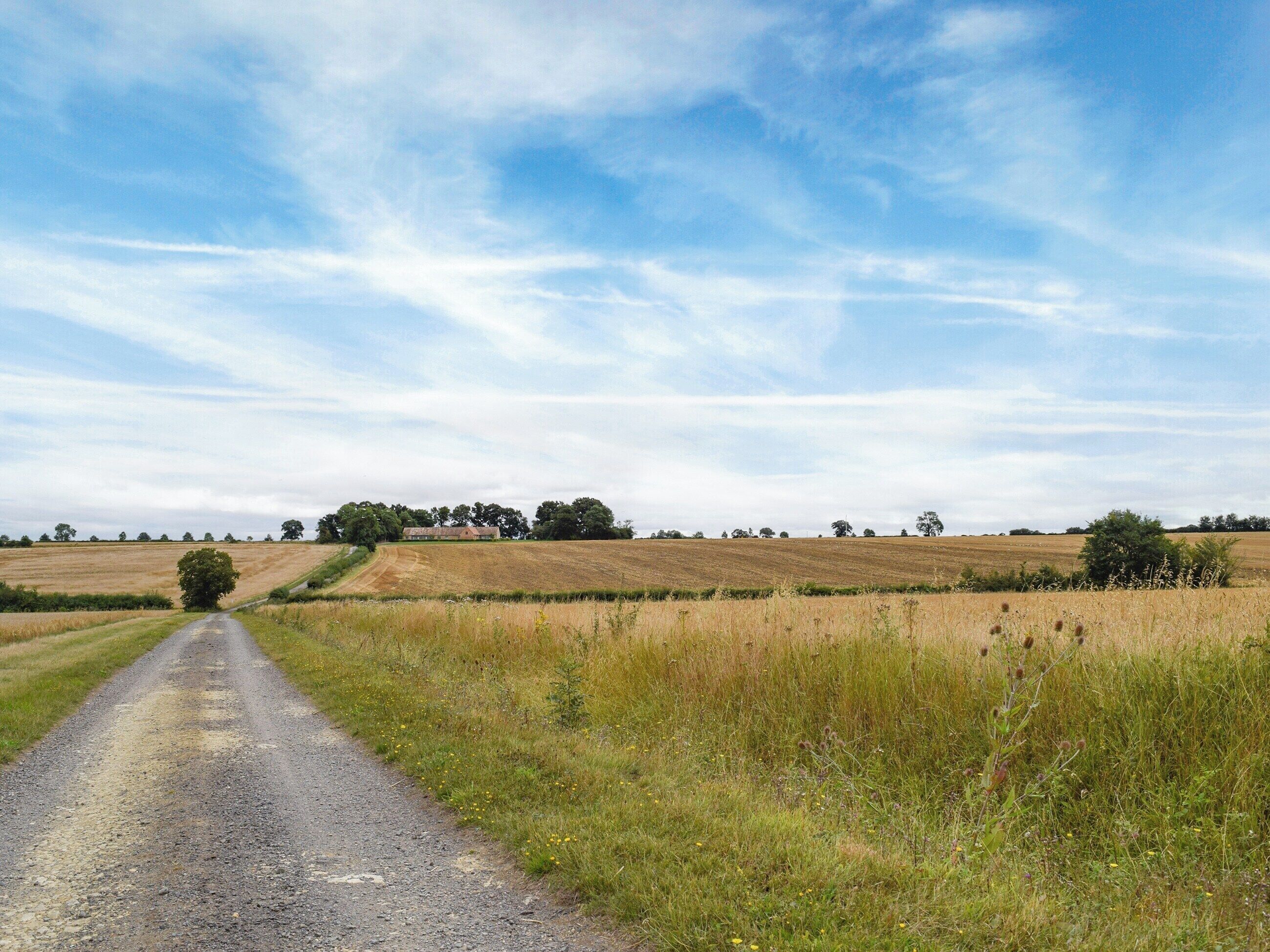 Une route de campagne menant à une maison entourée de champs et d’arbres, sous un ciel partiellement nuageux.