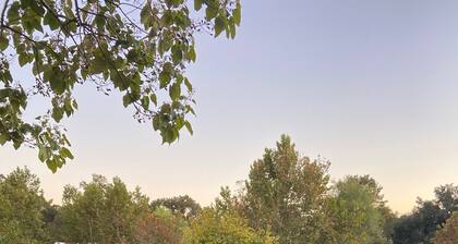 Creek Cabin in Salado - walk to everything Salado has to offer!