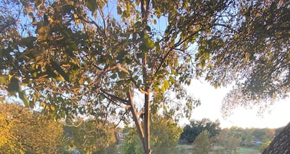 Creek Cabin in Salado - walk to everything Salado has to offer!