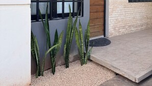 Un edificio moderno con un gran ventanal, una puerta de madera y un pequeño porche con una planta en maceta.