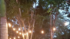 Un espacio al aire libre con árboles, luces colgantes, una estructura de madera y un cartel.