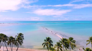 A beach with clear turquoise waters, a sandy shore, and palm trees. - Verano Pajuçara by Tropicalis (Maceió)