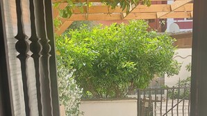 Une vue à travers une porte, avec une clôture en bois, un buisson vert et un chemin pavé.